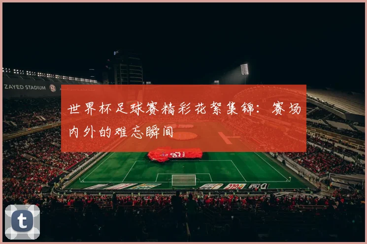 世界杯足球赛精彩花絮集锦：赛场内外的难忘瞬间
